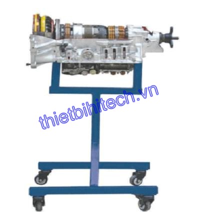 Automatic Transmission Anatomy Teaching Equipment